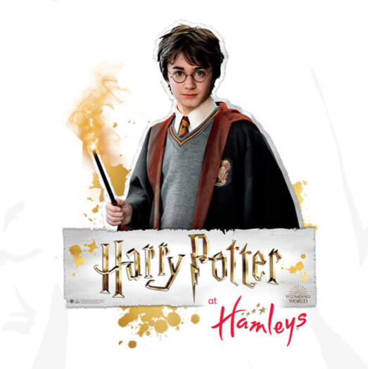 Hamleys, Harry Potter Marketing Campaign, Store Development - In Store POS